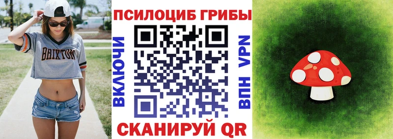 Галлюциногенные грибы Psilocybe  Купить  Лакинск 